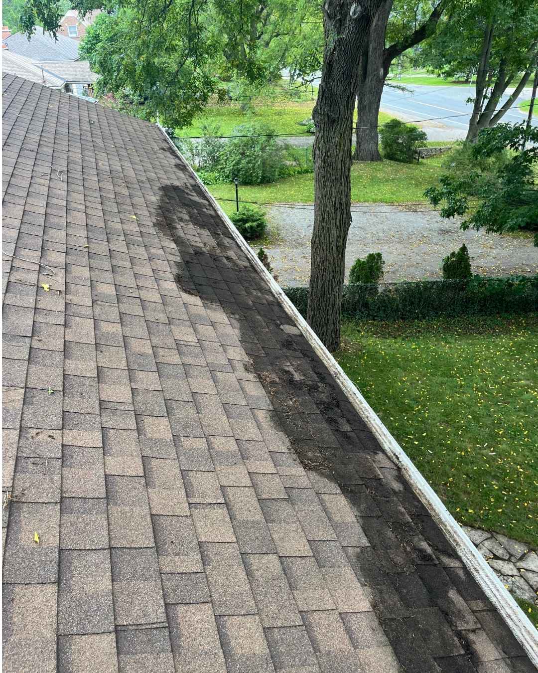 Gutter cleared of leaves and debris after cleaning in Hamilton