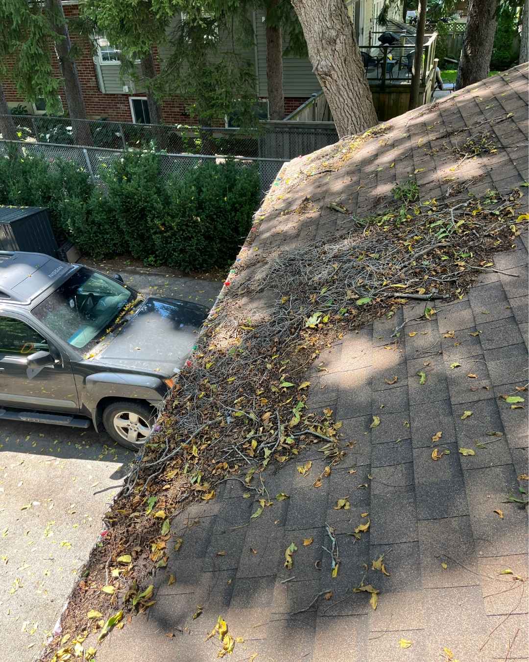 Debris-clogged gutter and downspout area before cleaning in Hamilton