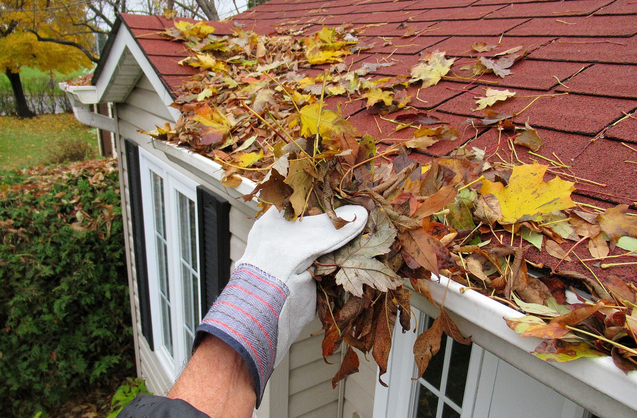 Gutters project